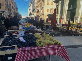 CHORVATSKO – OSTROV KRK – Hotelový resort Dražica ***