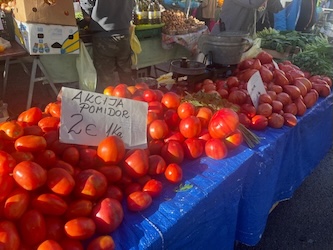 CHORVATSKO – OSTROV KRK – Hotelový resort Dražica *** 