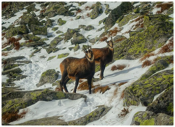 SLOVENSKO – VYSOKÉ TATRY – STARÝ SMOKOVEC