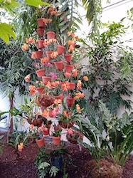 SLOVINSKO – MORAVSKE TOPLICE – HOTEL TERME VIVAT